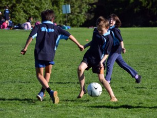 15-06-23-Primary-Schools-Football-Tournament-31