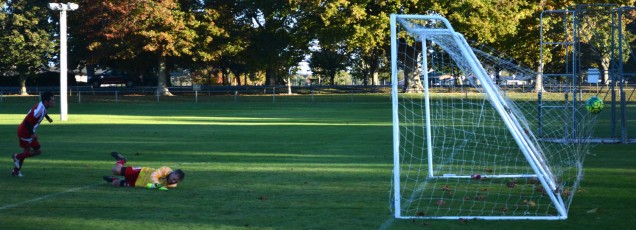 Zabir Azizi's goal.